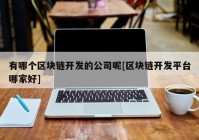 有哪个区块链开发的公司呢[区块链开发平台哪家好]